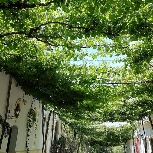 Photo #13594885
