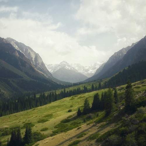 Photo #13594922