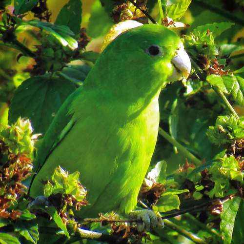 Photo #13594923