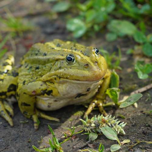 Photo #13594940