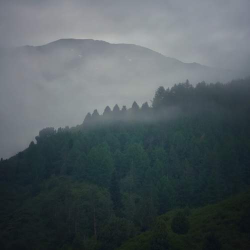 Photo #13594945
