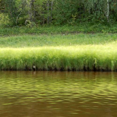 Photo #13594953