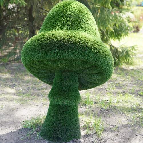 Photo #13594963