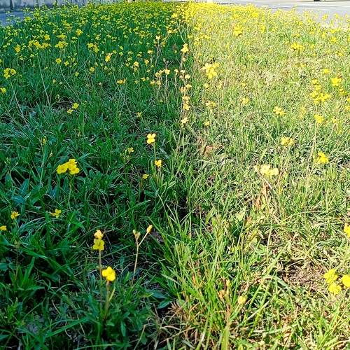 Photo #13594980