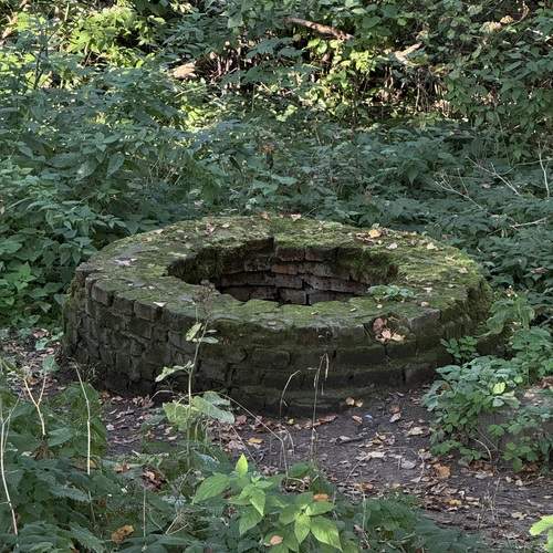 Photo #13594986