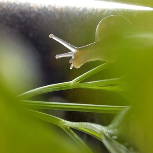 Photo #13595005