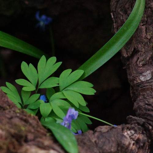 Photo #13595007