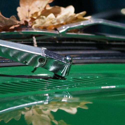 Photo #13595013