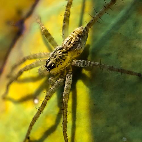 Photo #13595086