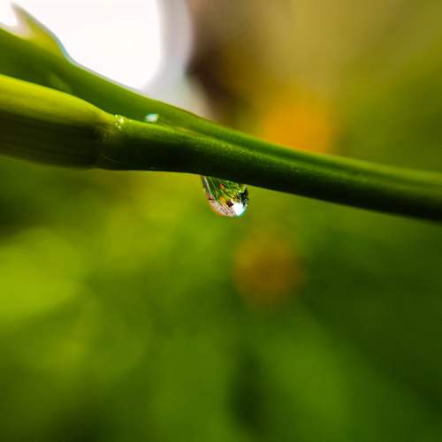 Photo #13595098