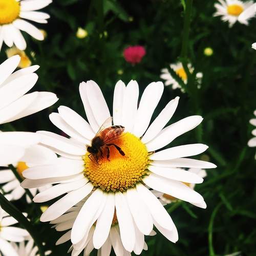 Photo #13595101