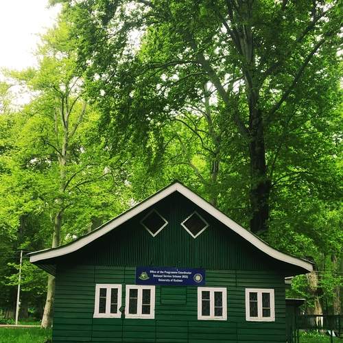 Photo #13595102