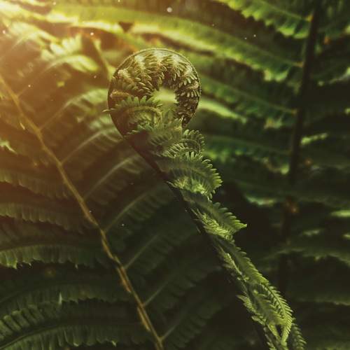 Photo #13595147