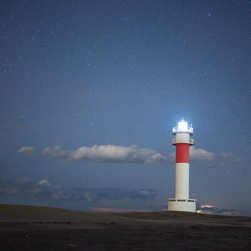 Photo #13595149