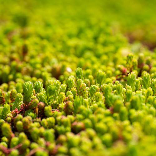 Photo #13595248