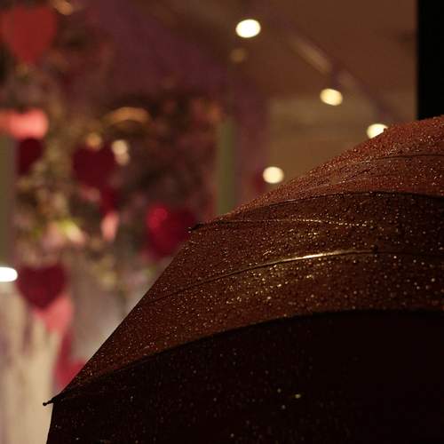Photo #13595291