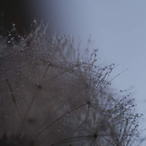 Photo #13595300