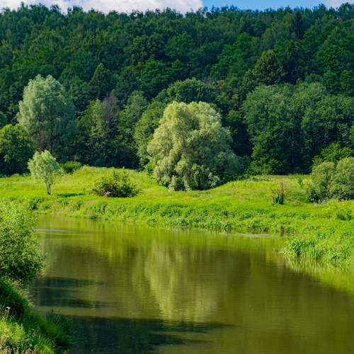 Photo #13595306