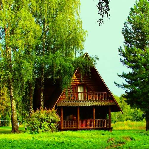 Photo #13595338
