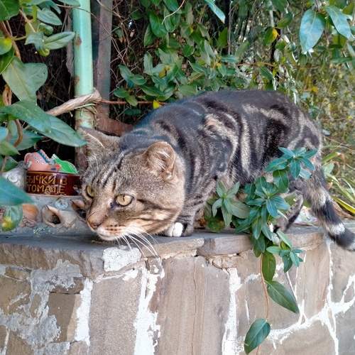 Photo #13595352