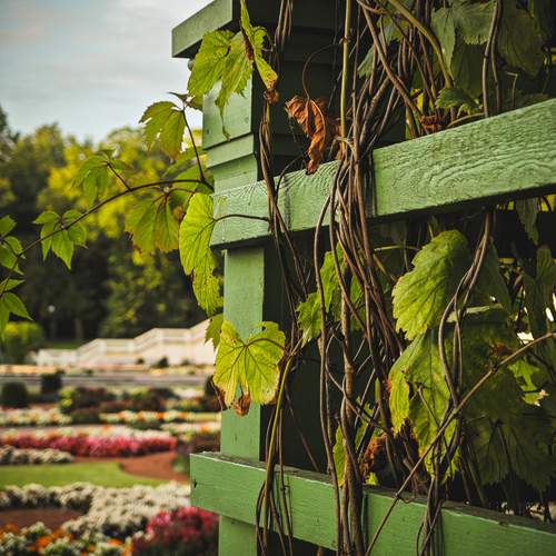 Photo #13595415