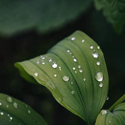 Photo #13595454