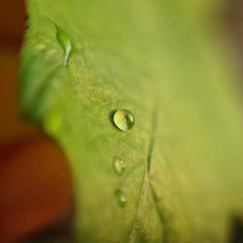 Photo #13595497