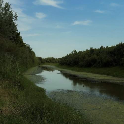 Photo #13595519