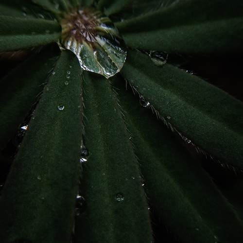 Photo #13595526