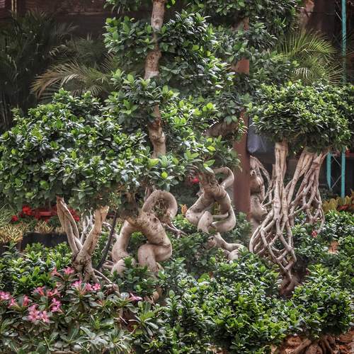 Photo #13595534