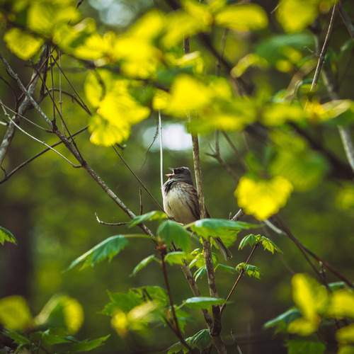 Photo #13595537