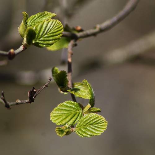Photo #13595651