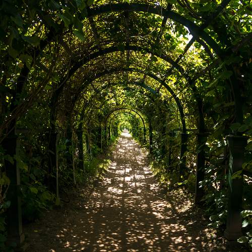 Photo #13595743