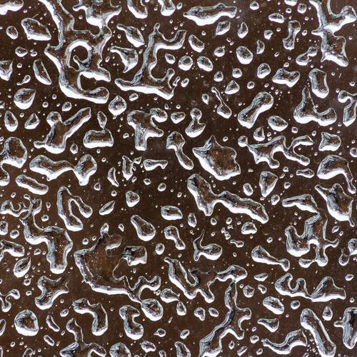 Photo #13595794