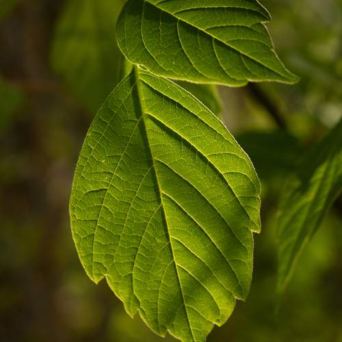 Photo #13595812