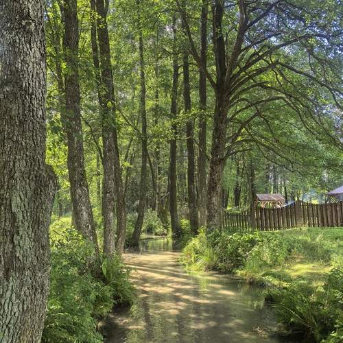 Photo #13595867