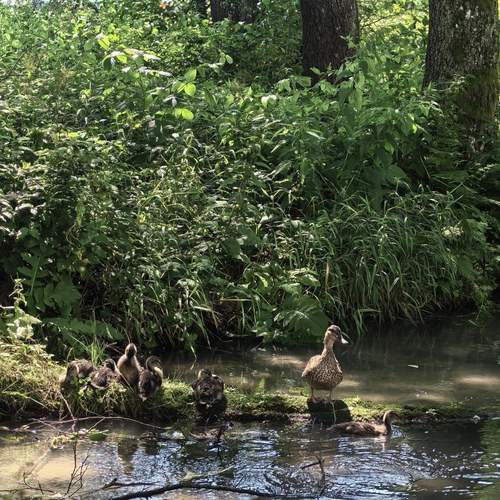 Photo #13595869