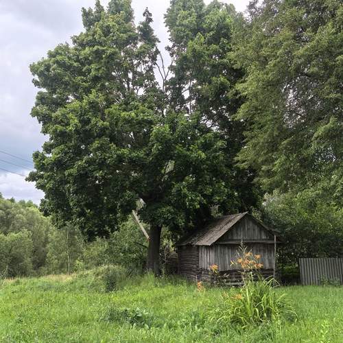 Photo #13595879