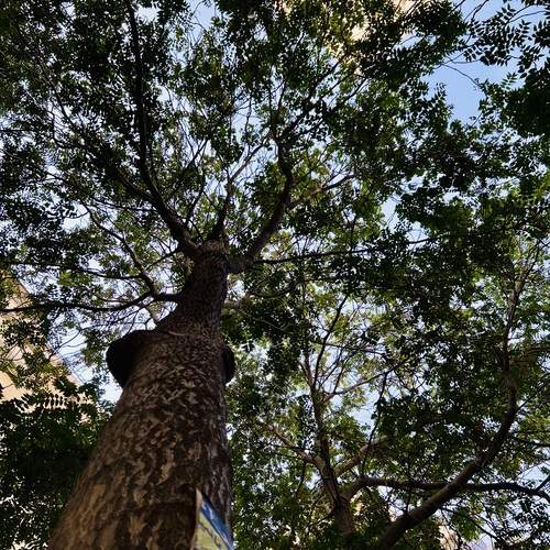 Photo #13595891