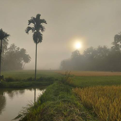 Sunrise green