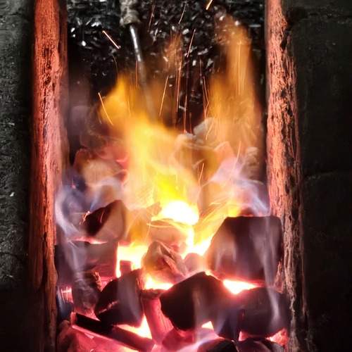 Photo #13595955