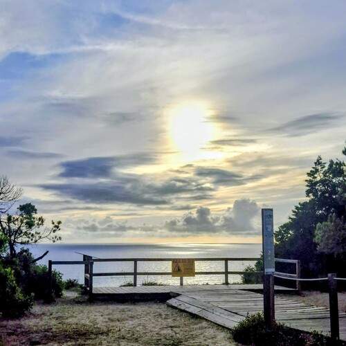 Photo #13595980