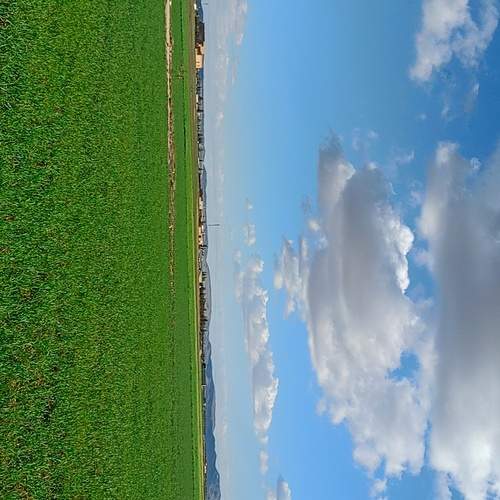 Photo #13595988