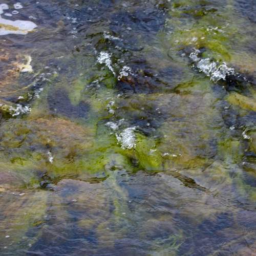 Photo #13596001