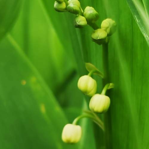 Photo #13596070