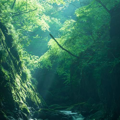 Photo #13596090