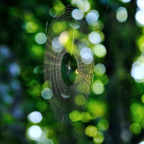 Photo #13596103