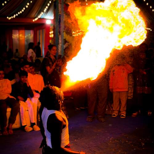 Photo #13596107