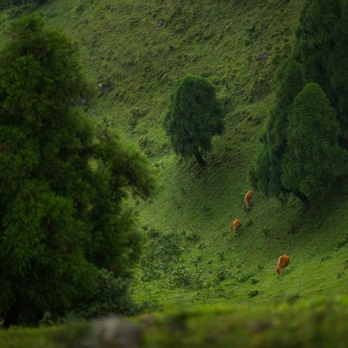 Photo #13596161