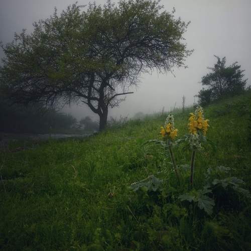 Photo #13596163